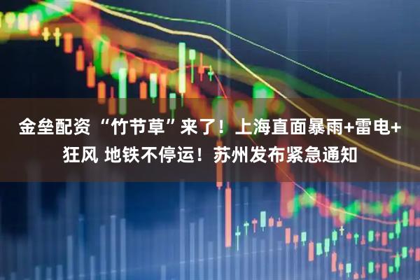 金垒配资 “竹节草”来了！上海直面暴雨+雷电+狂风 地铁不停运！苏州发布紧急通知
