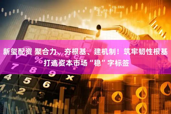 新玺配资 聚合力、夯根基、建机制！筑牢韧性根基 打造资本市场“稳”字标签