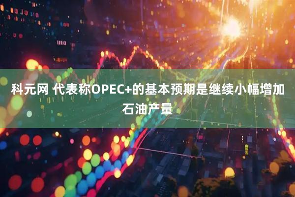 科元网 代表称OPEC+的基本预期是继续小幅增加石油产量