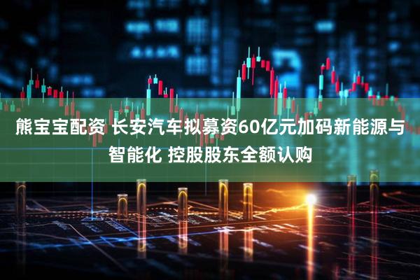 熊宝宝配资 长安汽车拟募资60亿元加码新能源与智能化 控股股东全额认购